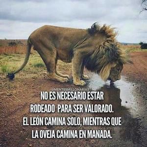 Meet your Posher, Luis